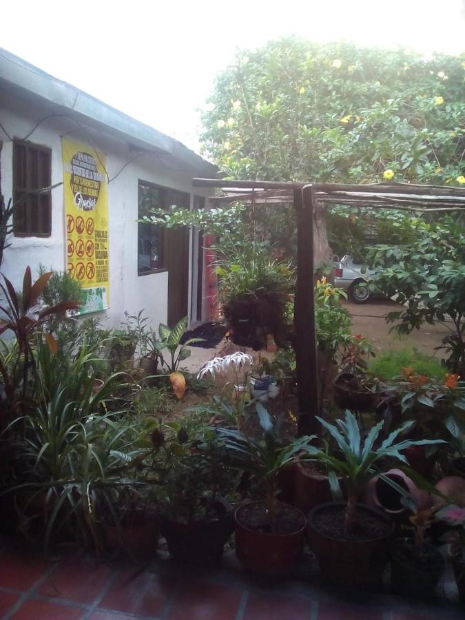 Hostal Villa Cecilia Villavieja Εξωτερικό φωτογραφία