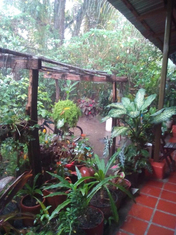 Hostal Villa Cecilia Villavieja Εξωτερικό φωτογραφία